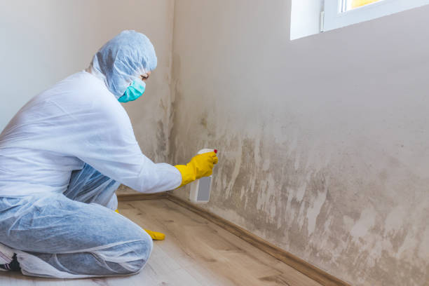 Hvac And Air Duct Mold Remediation inspection of HVAC system in Oradell
