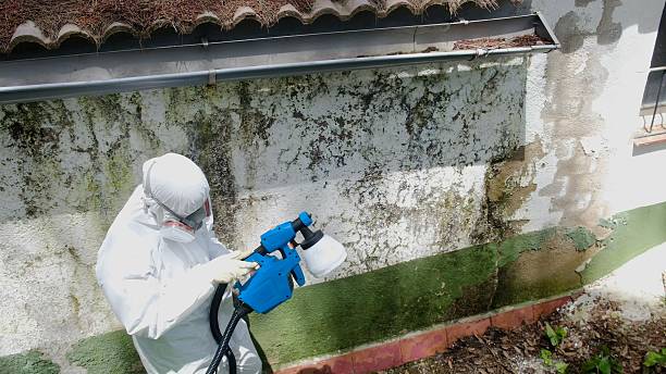 Mold Remediation service in Oradell, Oradell, NJ